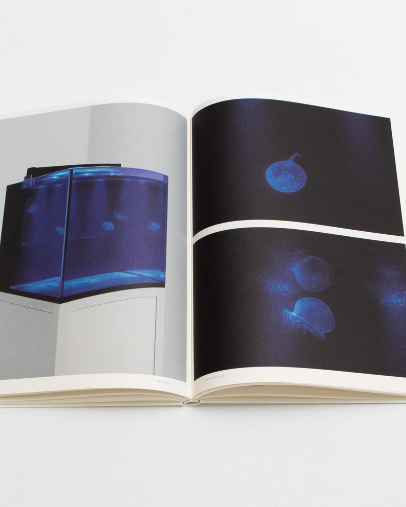 Carsten Nicolai. Parallax Symmetry