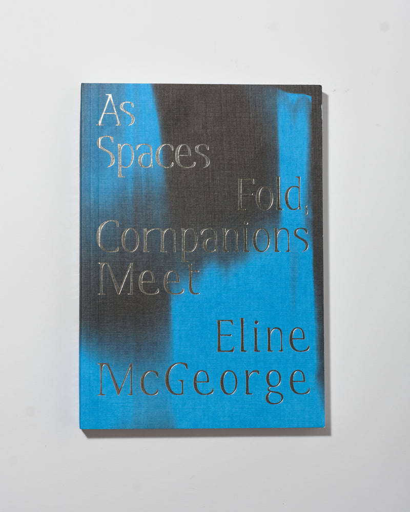 As Spaces Fold, Companions Meet — Eline McGeorge