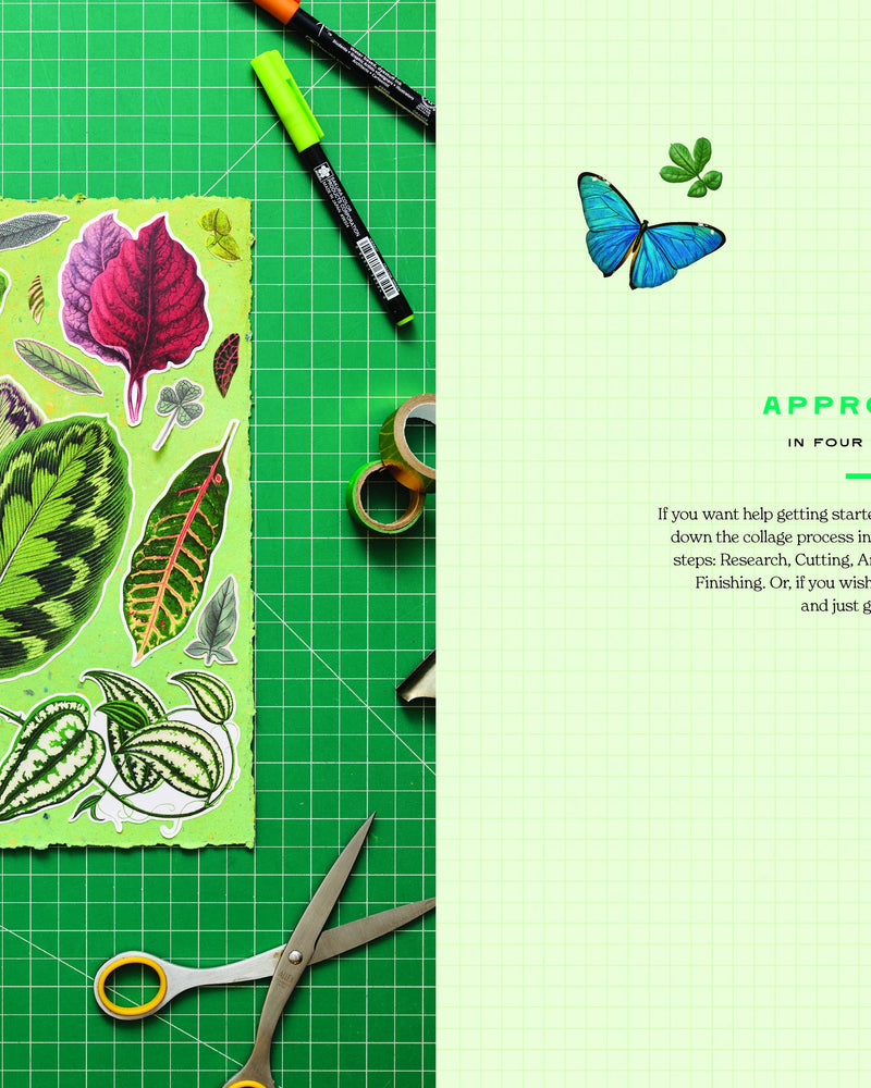 Cut-out Curiosities: Botanica