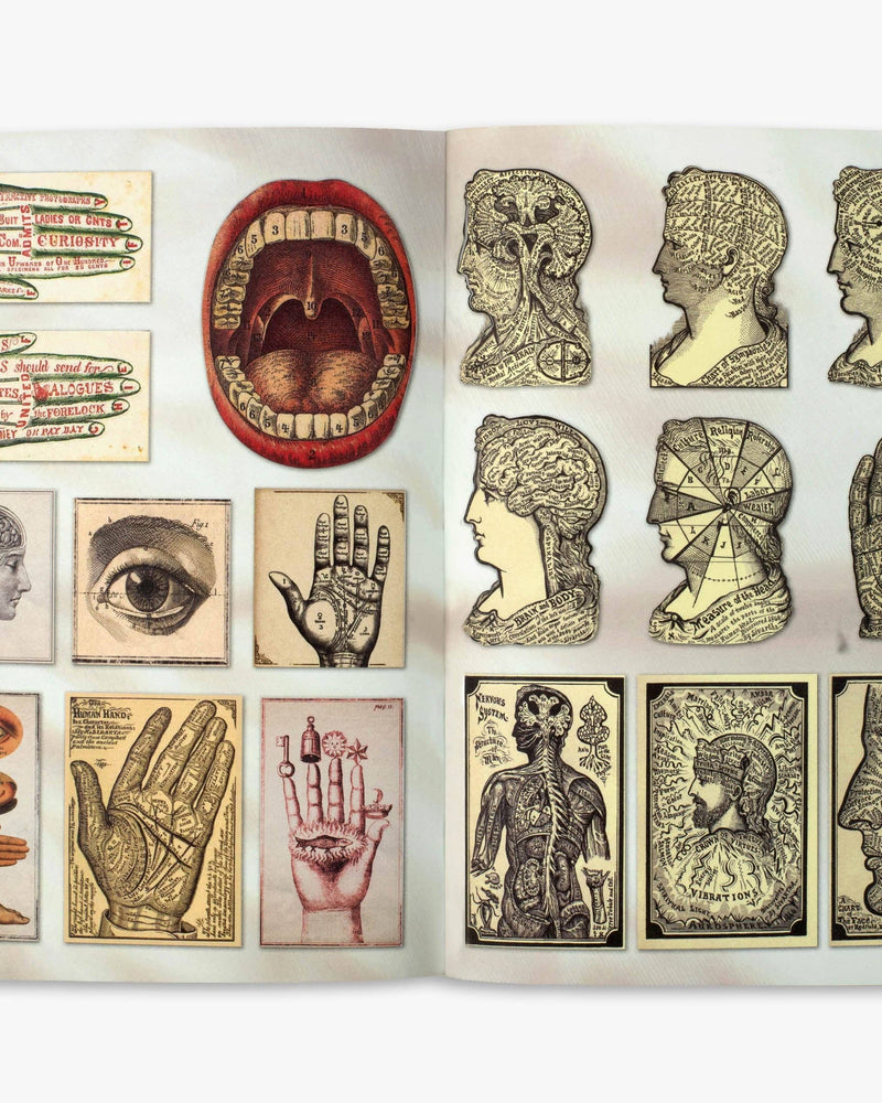 The Curious Collections Sticker Book