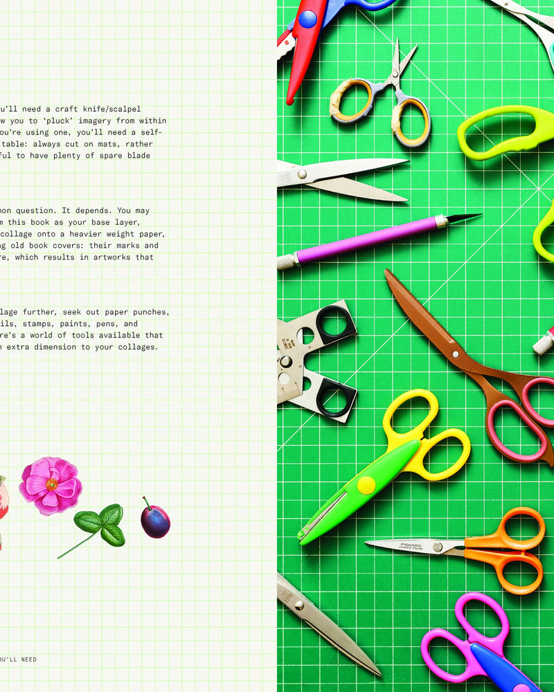 Cut-out Curiosities: Botanica