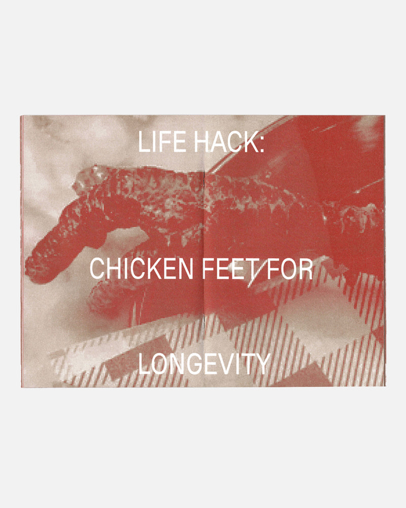 Chicken Hack Zine