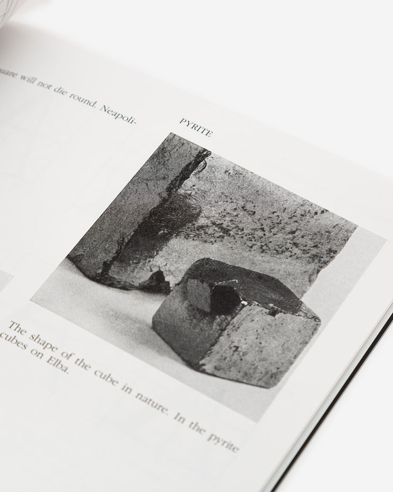 The Square By Bruno Munari