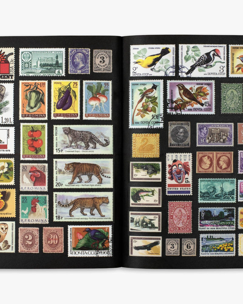 The Curious Collections Sticker Book